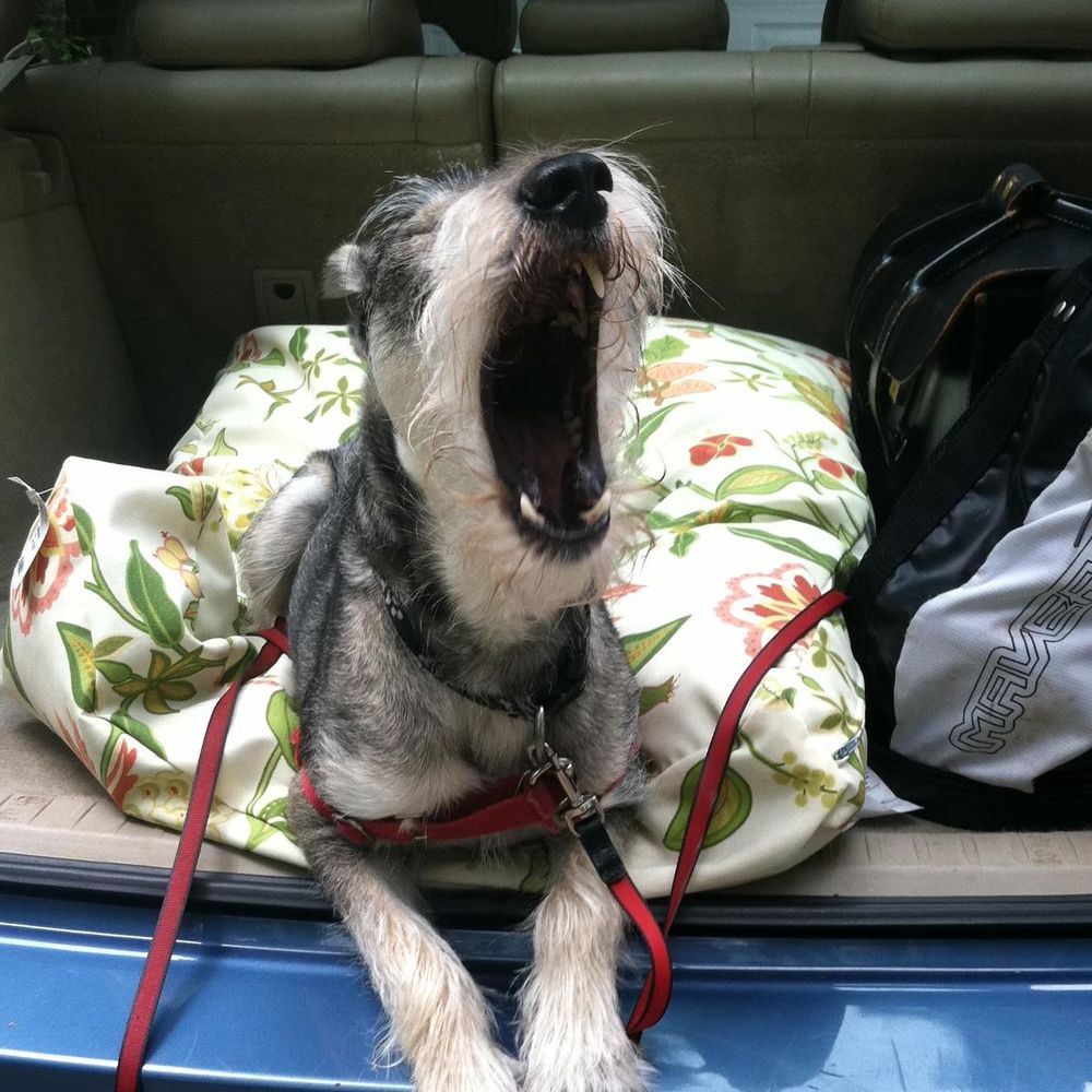 Meet your Posher, Wolfgang